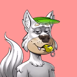 Midnite Wolf Pack #3091