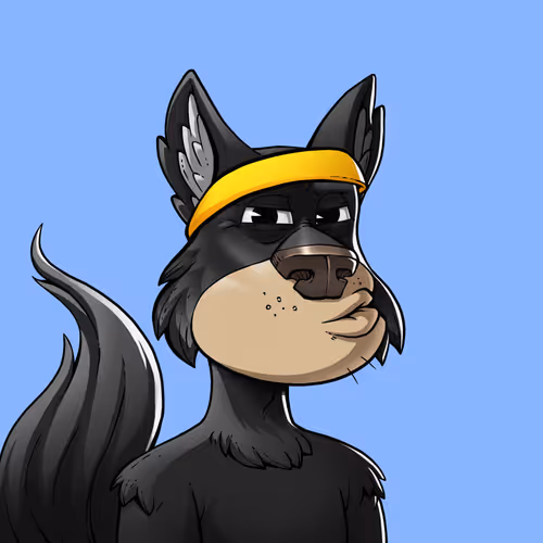 Midnitewolfpack