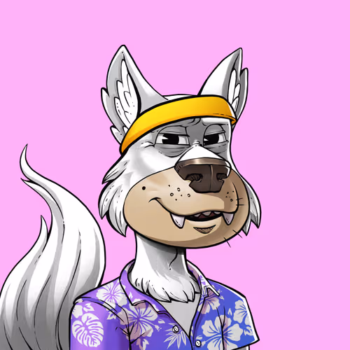 Midnitewolfpack