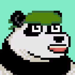 CyberPandaz #884