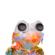 Notorious Frog #8569