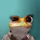 5936