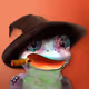 1628