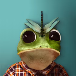 Notorious Frog #483