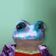 6264