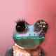 509