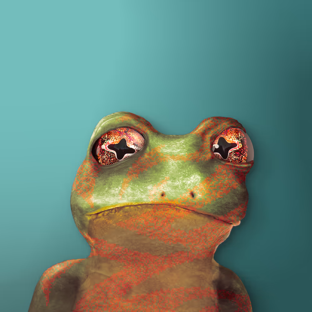 Notorious Frog #9985