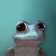 6827