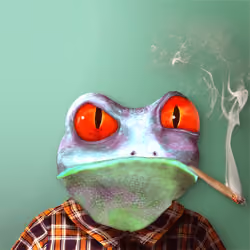 Notorious Frog #4332