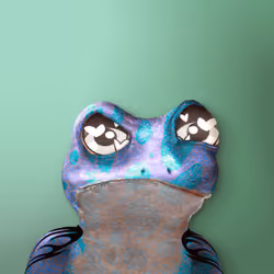 Notorious Frog #8711
