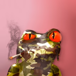 Notorious Frog #2502