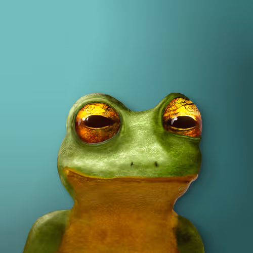 Notorious Frog #6891