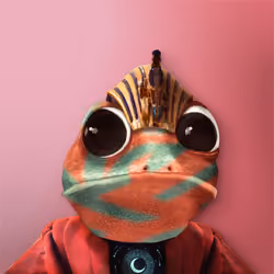 Notorious Frog #9078