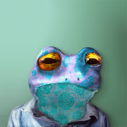 Notorious Frog #8845