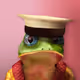 Notorious Frog #4602