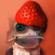 Notorious Frog #6337