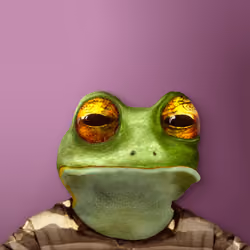 Notorious Frog #4945