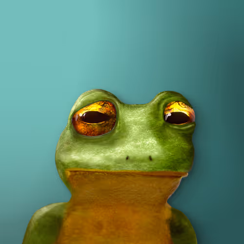 Notorious Frogs