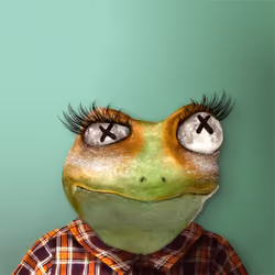 Notorious Frog #8571