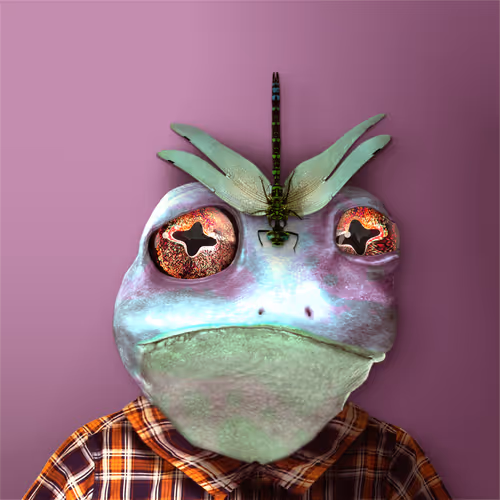 Notorious Frogs