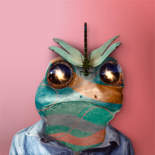 Notorious Frogs