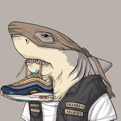 Outlaw Shark #220