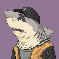 Outlaw Shark #2561