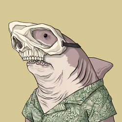 Outlaw Shark #2993