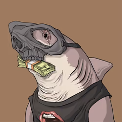 Outlaw Shark #7537
