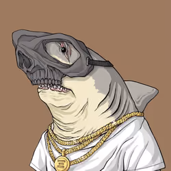 Outlaw Shark #3715