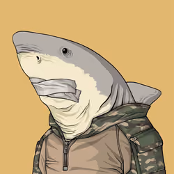 Justice Shark #7688
