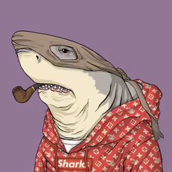 Outlaw Shark #936