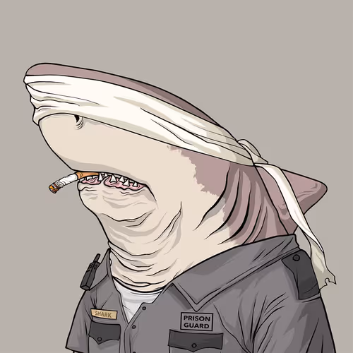 Sharkoutlawsquad
