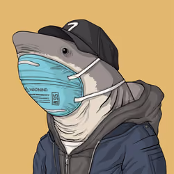 Outlaw Shark #3559