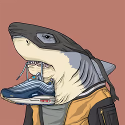 Outlaw Shark #5577