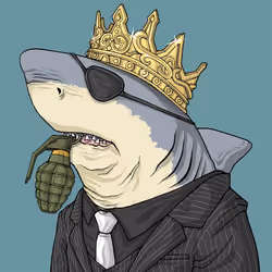 Outlaw Shark #2117