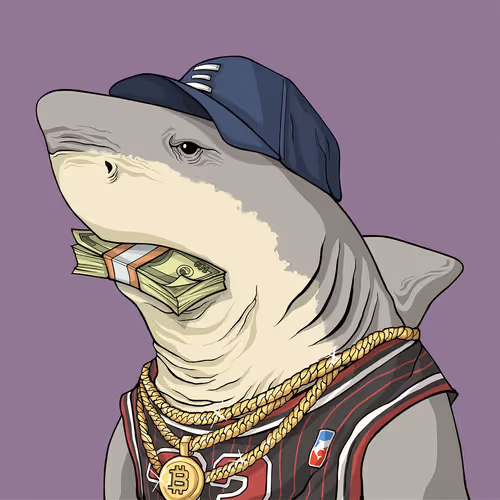 Outlaw Shark #2857