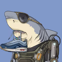 Justice Shark #5273