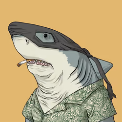 Outlaw Shark #7472