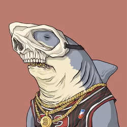Outlaw Shark #3605