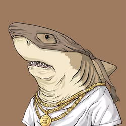 Outlaw Shark #1261