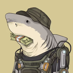 Justice Shark #1661