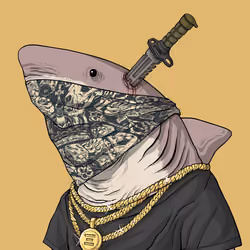 Outlaw Shark #7722