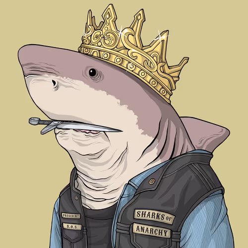 Sharkoutlawsquad