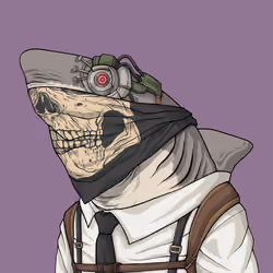 Justice Shark #2509