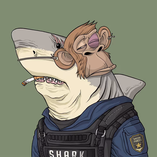 Justice Shark #7285