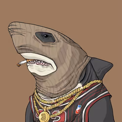 Outlaw Shark #2119