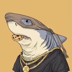 Outlaw Shark #1485