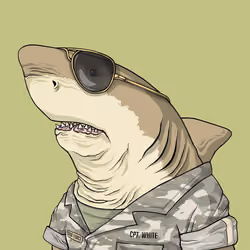 Justice Shark #2601