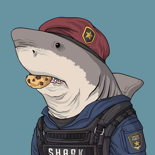 Sharkoutlawsquad